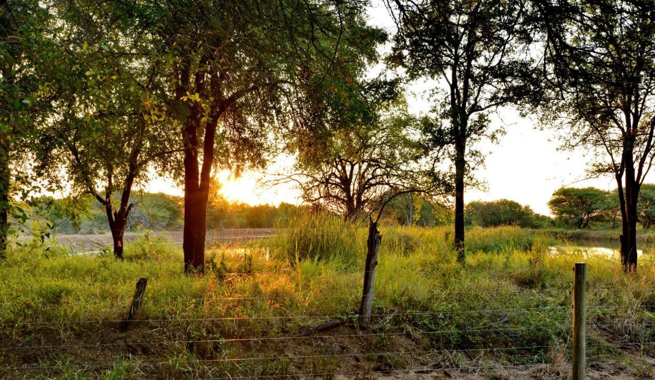 Black Rhino Game Lodge Pilanesberg Buitenkant foto