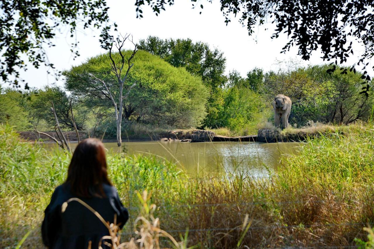 Black Rhino Game Lodge Pilanesberg Buitenkant foto